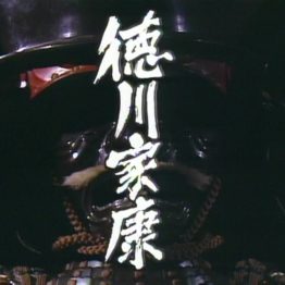 NHK21 - Tokugawa Ieyasu - 徳川家康 - 1983