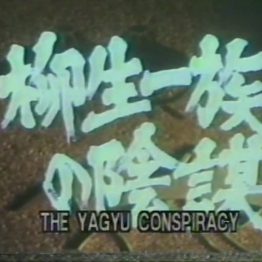Yagyu Clan Conspiracy - Yagyu Ichizoku no Inbo - 柳生一族の陰謀 - 1978